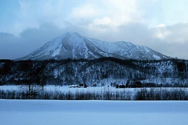 The peaceful scenes of the semi-wilderness around Niseko and Furano can resemble a Japanese woodcut.