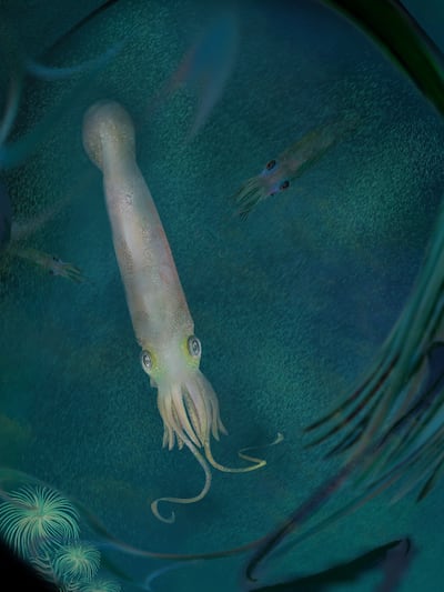 Researchers identified an extinct vampire-squid-like creature, the first of its kind, which has with 10 functional arms. PA