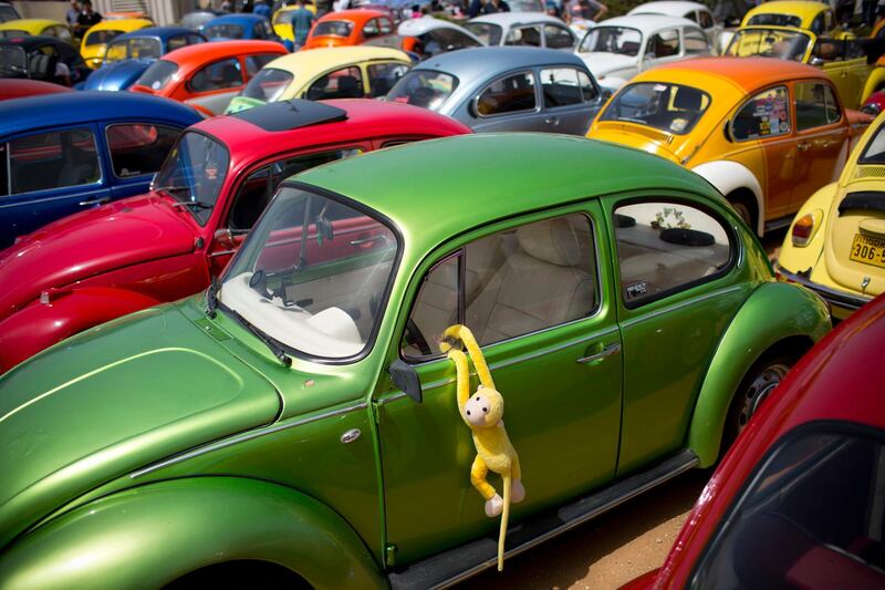 Beetles are displayed at the annual gathering of an enthusiasts' event in Yakum, Israel. AP Photo