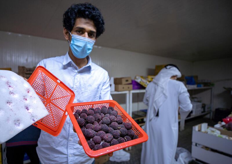 April 26, 2021. Nazeeb, shows some newly air delivered  red bayberry fruit from China at the Abdulla Hassan Trading Establishment, one of the original fruits and vegetable shops in Abu Dhabi which was opened in 1970. Victor Besa / The National.
Section: News/Standalone