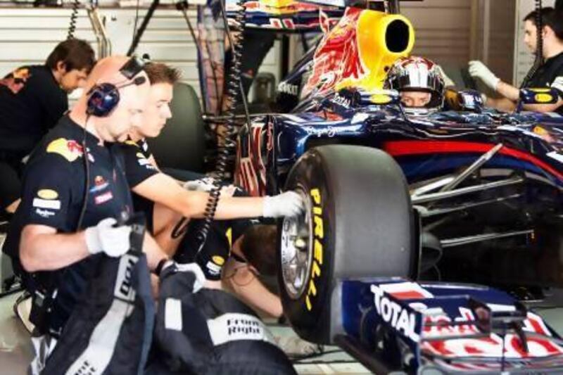 Red Bull Racing and Sebastian Vettel have had trouble with the Pirelli tyres this season, despite winning two races.