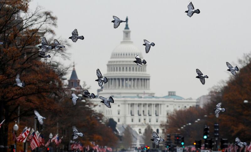 Pigeons fly past the US Capitol before the departure of the funeral procession for former U.S. President George H. W. Bush. Reuters