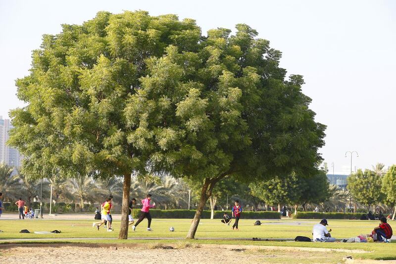 Helio Park, Ajman. The tiny emirate of Ajman boasts a nature lover’s paradise in the form of the immaculately landscaped Helio Park. It’s a verdant landscape made up of thousands of trees, bushes and shrubs mixed with brightly coloured flower beds, making it perfect for anyone seeking a fix of greenery. Stroll along the tree-lined, shaded walkways listening to the birdsong, or simply sit on the beautiful lawns and indulge in a good book.

When you’ve had enough relaxing, it’s time to move on to the sports area for a game of volleyball, basketball or football, make use of the outdoor gym equipment or perhaps hire a bicycle to explore the park further, before heading to the cafe for a refreshing juice. If you’ve come prepared with food, claim one of the barbecues and cook up a treat with friends.

Location: Al Helio district. Jeffrey E Biteng / The National