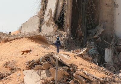 French rescue team member and a search and rescue dog walk near the damaged grain silo at the site of Tuesday's blast, at Beirut's port area, Lebanon, August 7, 2020. REUTERS/Mohamed Azakir