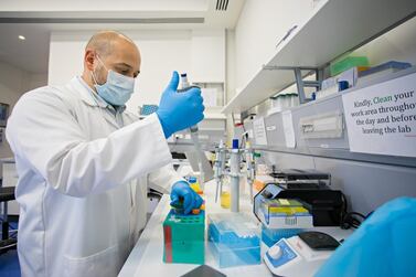 UAE researchers are exploring the possibility of using stem cells to repair damaged lung tissue in Covid-19 patients. Courtesy: Khalifa University