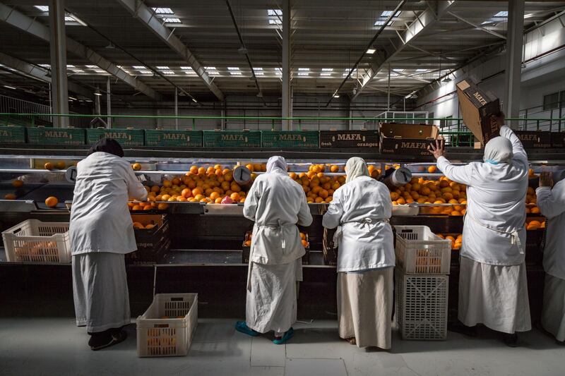 Mafa exports between 100,000 and 115,000 tonnes of agricultural products annually. Getty Images