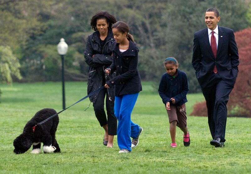 In this photo taken in April 2009, Malia Obama walks six-month-old Portuguese water dog Bo alongside Barack Obama, Sasha Obama and Michelle Obama on the South Lawn of the White House. AFP