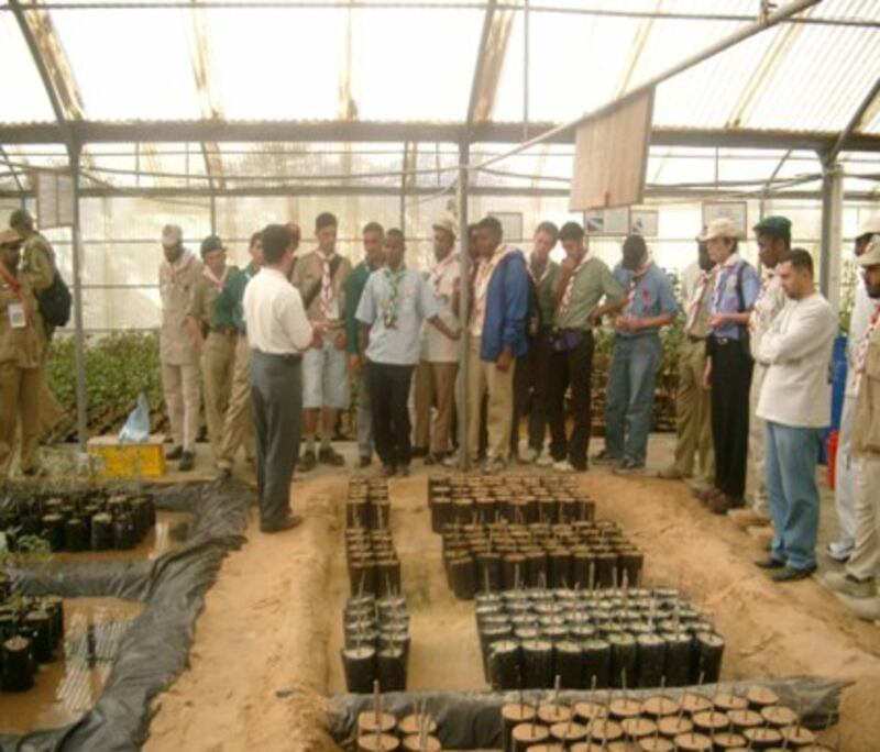 Dr Loughland was also involved in training local students in planting techniques and studying mangrove species and characteristics