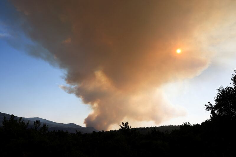 A wildfire burns in Dadia National Park, Greece. Reuters