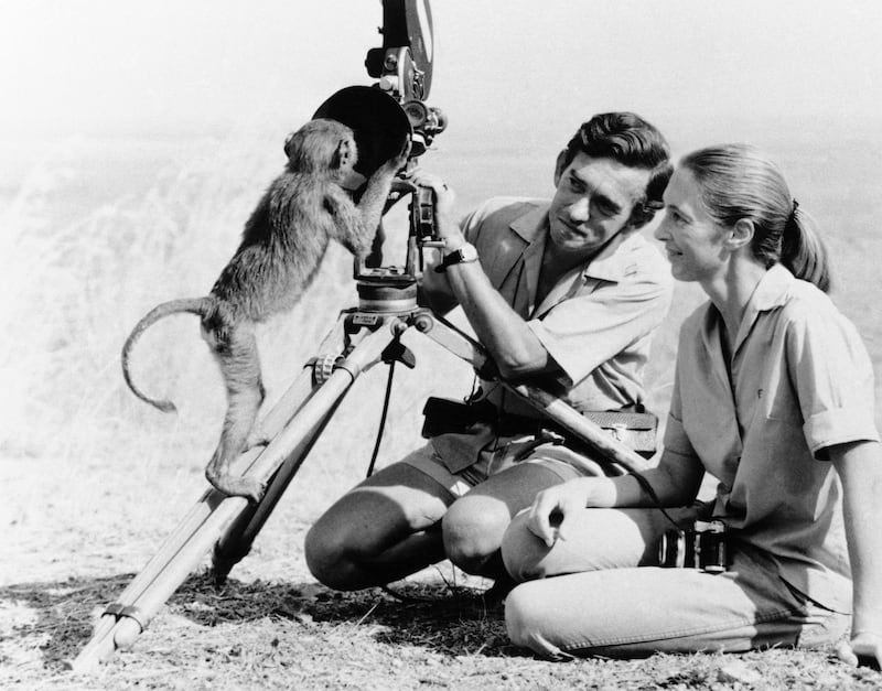 FILE - This Jan. 1974 file photo shows anthropologist Jane Goodall, right, with husband Hugo van lawick behind a camera. Goodall was named Thursday, May 20, 2021 as this yearâ€™s winner of the prestigious Templeton Prize, honoring individuals whose lifeâ€™s work embodies a fusion of science and spirituality. (AP Photo)