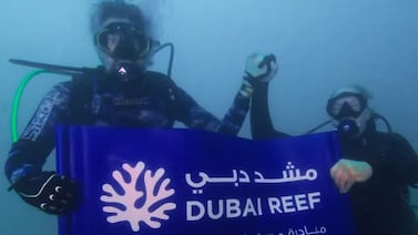 Sheikh Hamdan bin Mohammed, Crown Prince of Dubai, joins Ray Dalio on a diving expedition for the launch of Dubai Reef. Photo: Sheikh Hamdan bin Mohammed / X