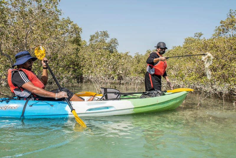 Young mangroves can be damaged by plastic and other waste dumped into the sea.