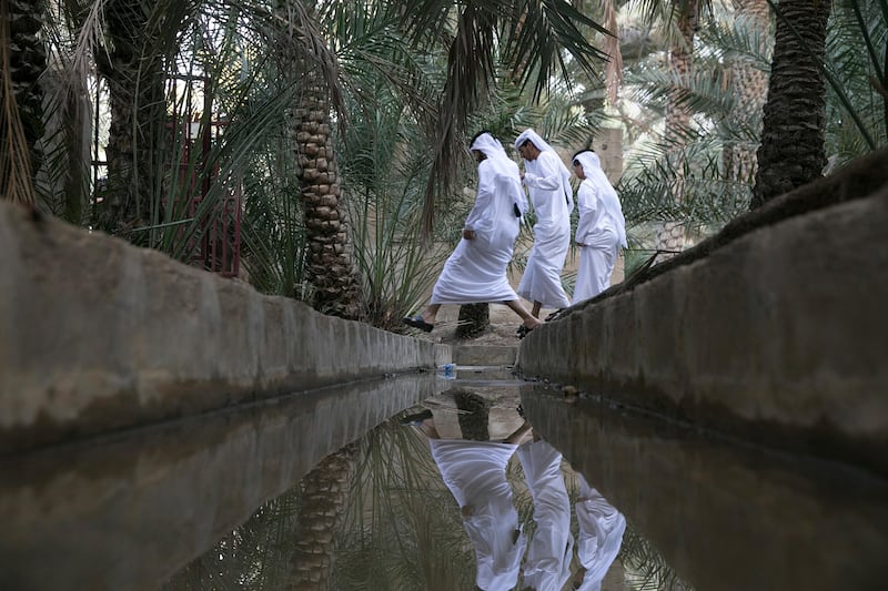 ABU DHABI, UNITED ARAB EMIRATES, Nov. 21, 2014:  
young men jump over a irrigation ditch as a group of 28 selected Emirati students tours the Al Ain Oasis on Friday Nov. 21, 2014, the first day of their 10-day journey  The Journey of the Union is being organised by Al Bayt Mitwahid, which is an association formed from employees of the Crown Prince Court,  through all seven emirates leading up to the upcoming 43rd National Day. (Silvia Razgova / The National)

Usage: Nov. 21, 2014,
Section: NA / Journey to National Day 
Reporter: Anam Rizvi,
