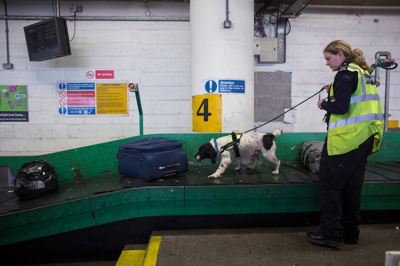 Border Force official Claire Chapman and her sniffer dog Pip check luggage arriving at Gatwick Airport in 2014