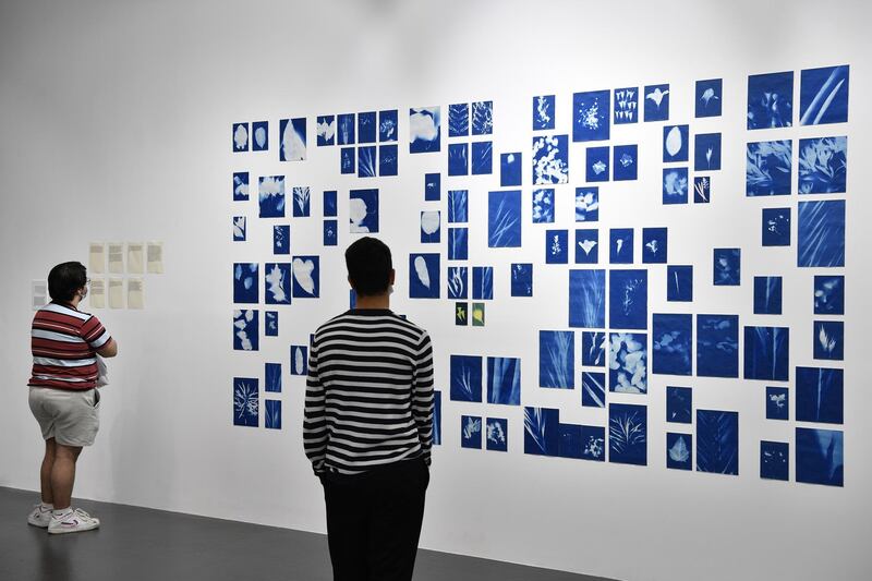 Hind Mezaina’s 'Dubai Gardens', cyanotype prints of leaves and flowers collected from the emirate’s green spaces, offer a 'botanical portrait' of the city. Courtesy Warehouse421