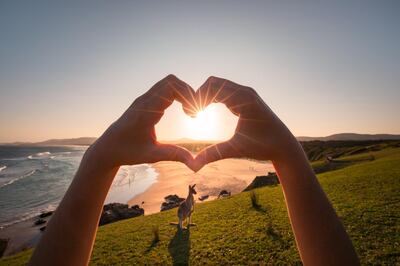 An image from the 'Now’s The Time to Love NSW' campaign. Courtesy: Destination NSW