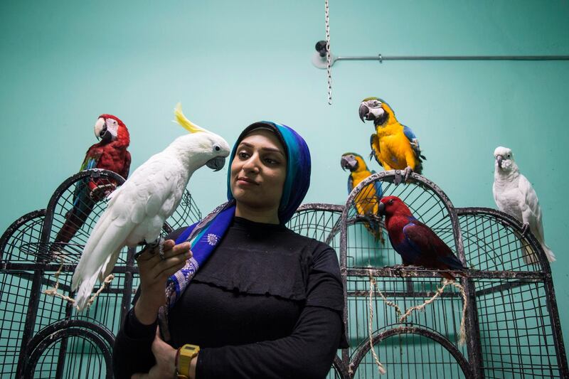 Birds trainer Nada Abdullah plays with a yellow-crested cockatoo at the Parrot Academy in Cairo, Egyp.  EPA