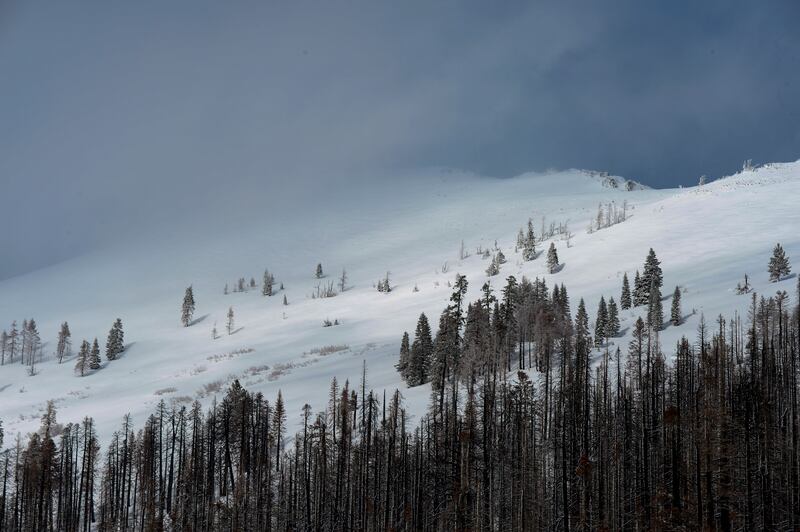 A mountain near the site of the first snow survey of the 2023 season, at Phillips Station in the Sierra Nevada Mountains. EPA