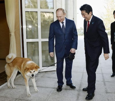 Russian President Vladimir Putin meets then Japanese prime minister Shinzo Abe in 2014. Kyodo / Reuters