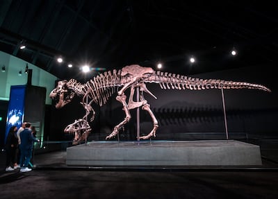 Highlights of the museum will include 'Stan', the world-famous 11.7 metre-tall Tyrannosaurus rex. Victor Besa / The National