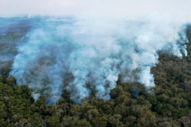 An area of pristine rainforest the size of the Netherlands was burned or hacked down last year, as the destruction of the planet's tropical forests accelerated despite a global economic slowdown, according to research on March 31, 2021. AFP