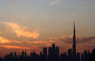 This picture taken on February 2, 2021 shows a view of Dubai at sunset.  / AFP / Karim SAHIB
