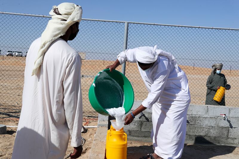 Milk collected during the milking camel contest is poured into a container.