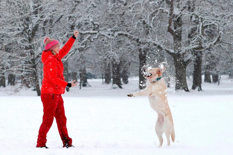 Alison Lawrence throws a snowball for her dog Bluebell to catch on a snow-covered common in Hartley Wintney west of London. AFP