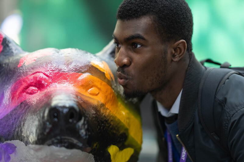 A man poses for a picture with one of the colourful corgis. 