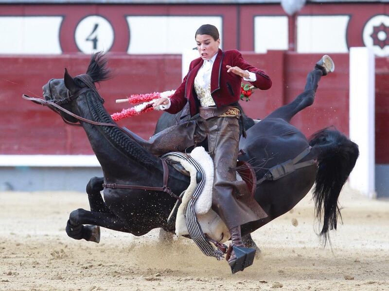 French rejoneadora Lea Vicens is hurled into the air by a bull in Madrid. Alberto Simon / AFP Photo