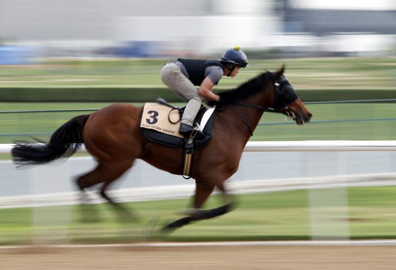 A picture taken with a slow shutter speed shows a jockey riding Rich Tapestry, a racehorse from Northern Ireland trained by Michael Chang, on the track at the Meydan Racecourse during preparations for the Dubai World Cup 2016 in Dubai, United Arab Emirates, 23 March 2016. The 21st edition of the Dubai World Cup will take place on 26 March 2016.  EPA/ALI HAIDER