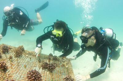 Contributing to UAE marine conservation efforts has just become easier for UAE residents and businesses thanks to a partnership between the Fujairah-based dive centre, Freestyle Divers and Azraq, a volunteer-run marine conservation organisation based in Dubai. Courtesy Freestyle Divers‚Äô Marine Conservation Academy