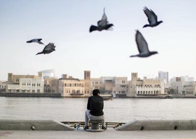 DUBAI, UNITED ARAB EMIRATES. 4 JUNE 2020. 
A man sits by Dubai Creek on Baniyas road in Deira.
(Photo: Reem Mohammed/The National)

Reporter:
Section: