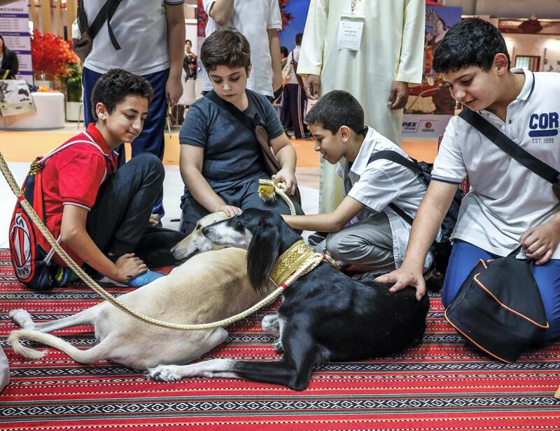 Abu Dhabi, U.A.E., September 26, 2018.  
ADIHEX- 2018 Abu Dhabi International Hunting and Equestrian Exhibition.-- Young visitors at the Arabian Saluki Center at ADIHEX.
Victor Besa / The National
Section:  NA
Reporter: