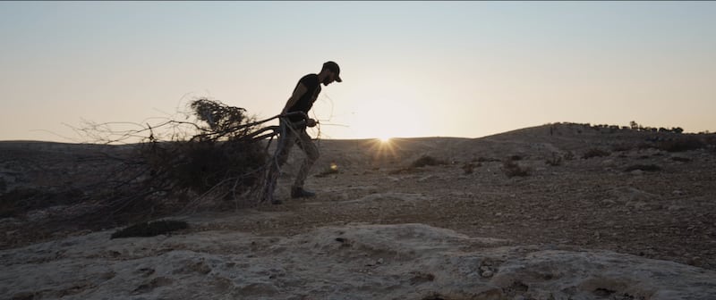 Sarura by Nicola Zambelli is set in the gates of the Negev desert and tells the story of the Youth of Sumud, a group of teenage Palestinians who rely upon their cameras and non-violent tactics to fight against Israeli military occupation