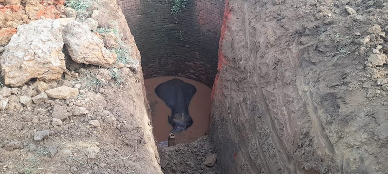 A picture that shows the depth of the well into which the elephant fell.