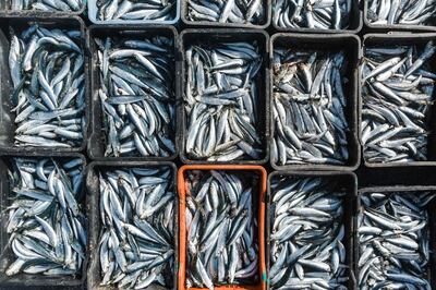 Fresh caught sardines for sale at the Warner beach, south of Durban. AFP