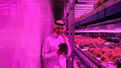 Omar Al Jundi is the founder and chief executive of Badia Farms, the region’s first vertical farm, in Al Quoz, Dubai. A $1 million prize has been launched challenging new food sutainabilty ideas for the UAE. Reem Mohammed/The National