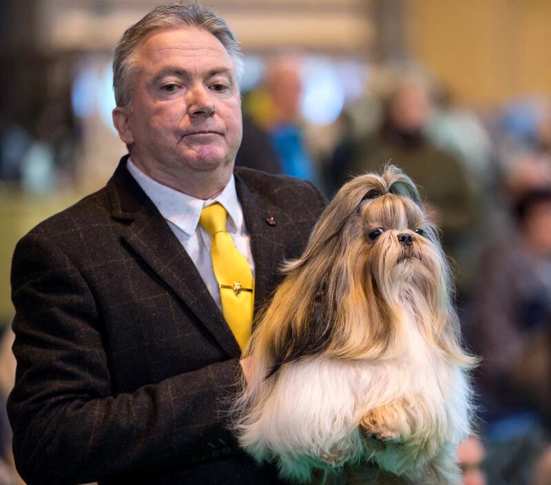 A man carries a Shih Tzu on the second day of the Crufts dog show at the National Exhibition Centre in Birmingham, England. Oli Scarff / AFP / March 10, 2017