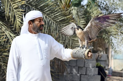 Yousef Al Hamadi began falcon hunting with Sheikh Zayed when he was 18. Khushnum Bhandari for The National