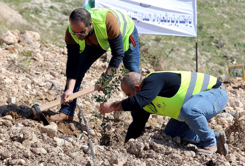 Jordan's reforestation drive in the verdant Ajloun region focuses on species that, after the initial phase of taking root, can survive without a lot of additional water. AFP