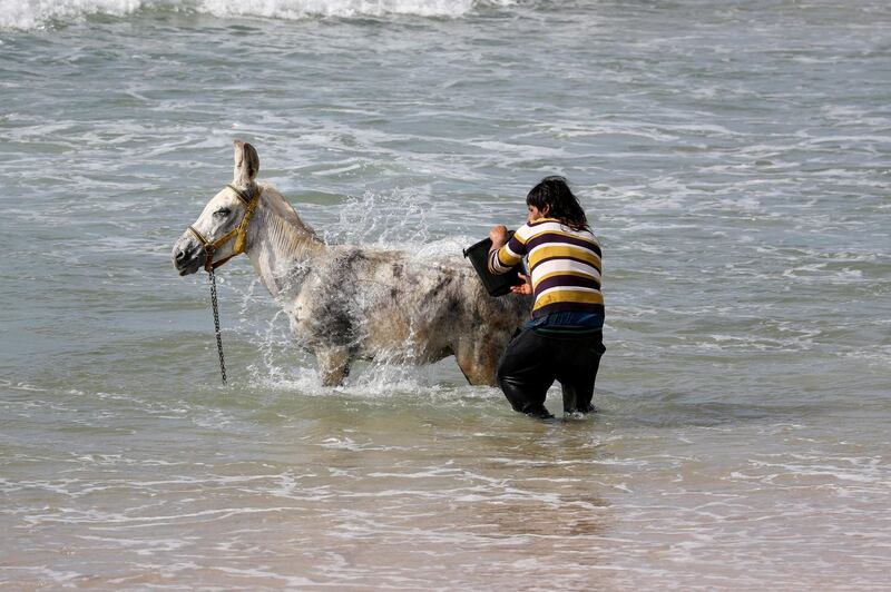 A Palestinian man bathes his donkey at the sea in the northern Gaza Strip. Reuters