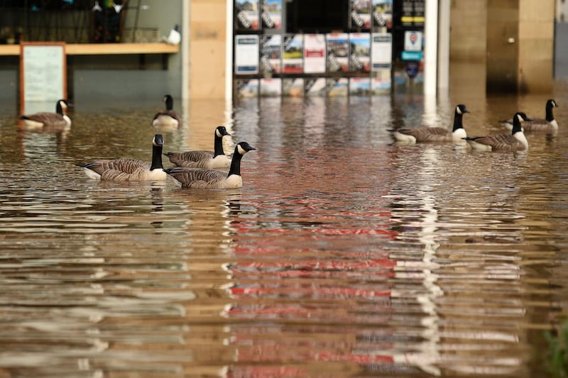 Geese take advantage of the conditions as floodwater fills the streets of Hebden Bridge, northern England as Storm Ciara swept over the country.  AFP