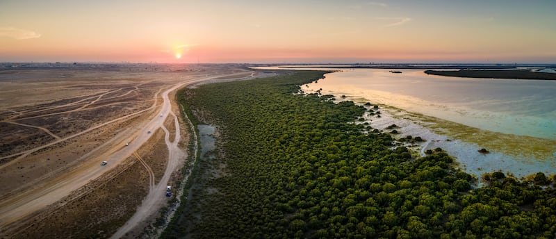 Sunset over Mangrove Beach in Umm Al Quwain. Getty Images