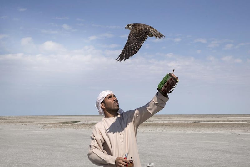 Falconer Yaqoub Al Hamadi releases a peregrine falcon into the wild, north of Aktau, Kazakhstan. Silvia Razgova / The National