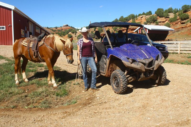 A horse and modern day buggy. Courtesy Red Reflet Ranch