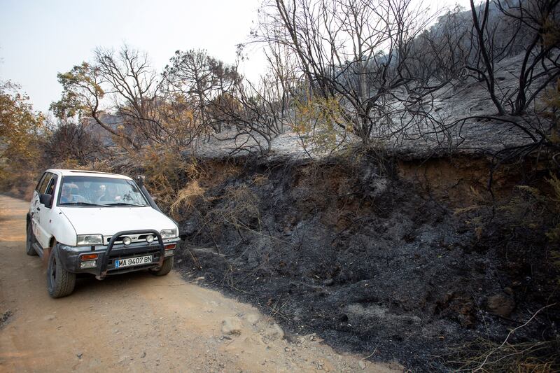 A car passes by an area burnt by the wildfire. EPA