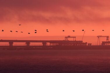 Birds fly past the road-and-rail bridge connecting the Russian mainland with the Crimean peninsula. Reuters