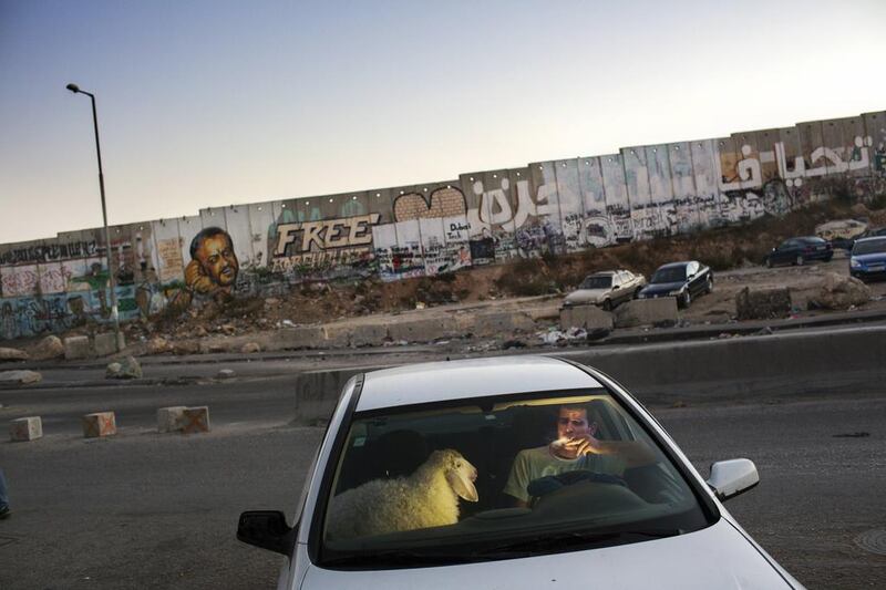 After gruelling traffic at the Qalandia check point, a young man enjoys a cigarette in his car as traffic finally clears on the last evening of Ramadan. He is bringing home a sheep for the upcoming Eid celebration. Courtesy Tanya Habjouqa