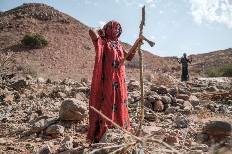 The Afar region, the only passageway for humanitarian convoys bound for Tigray, is facing a serious food crisis due to the combined effects of the conflict in northern Ethiopia and drought in the Horn of Africa. AFP